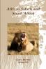 African Safaris and South Africa