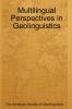 Multilingual Perspectives in Geolinguistics