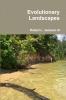Evolutionary Landscapes
