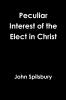 Peculiar Interest of the Elect in Christ