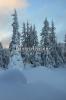 Winter Dreams