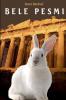 BELE PESMI