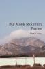 Big Monk Mountain Poems