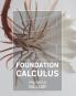 Foundation Calculus