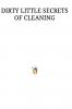DIRTY LITTLE SECRETS OF CLEANING
