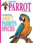 Animalandia Parrot