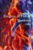 Enigma of Fire & Shadows