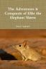 The Adventures & Conquests of Ellie the Elephant Shrew