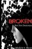 Broken But Not Destroyed