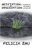 Meditation and Observation