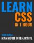 Learn CSS in 1 Hour