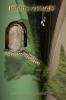 HIDDEN PASSAGES