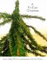 A Fir-Ever Christmas