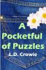 A Pocketful of Puzzles
