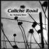 Caliche Road