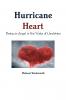 Hurricane Heart