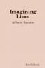 Imagining Liam