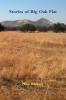 Stories of Big Oak Flat