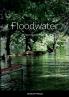 Floodwater