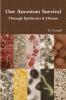 Our Ancestors Survival Through Epidemics and Disease