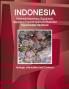Indonesia Electrical Machinery Equipment Apparatus Export-Import and Business Opportunities Handbook - Strategic Information and Contacts