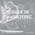 Bosque de Chapultepec