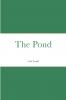 The Pond