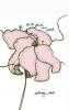 For the Flowers Never Watered