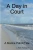 A Day in Court