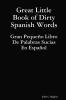 Great Little Book of Dirty Spanish Words