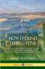 How I Found Livingstone