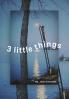 3 little things