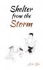 Shelter from the Storm