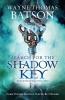 Search for the Shadow Key