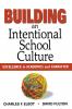 Building an Intentional School Culture