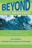 Beyond School Improvement