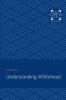 Understanding Whitehead