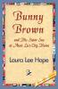 Bunny Brown and His Sister Sue at Aunt Lu's City Home