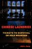 Chinese Laundries