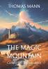 The Magic Mountain