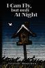 I Can Fly but Only at Night