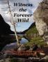 Witness the Forever Wild A Guide to Favorite Hikes around the Adirondack High Peaks