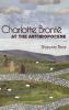 Charlotte Brontë at the Anthropocene