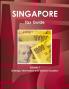 Singapore Tax Guide Volume 1 Strategic Information and Business Taxation