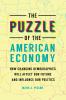 The Puzzle of the American Economy