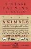 Farm Animals and the Principles of Feeding - With Information on Feeding Hogs Sheep Dogs and Other Farm Animals