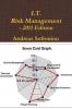 I.T. Risk Management - 2011 Edition