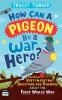 How Can a Pigeon Be a War Hero? And Other Very Important Questions and Answers About the First World War