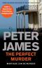 The Perfect Murder