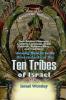 A View of the  American Indians
